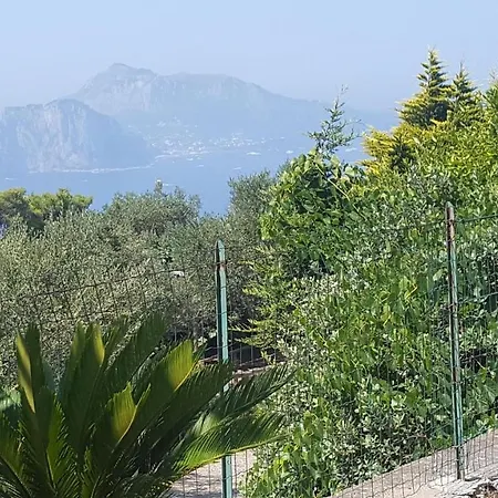 Delizia Caprese Apartment Massa Lubrense