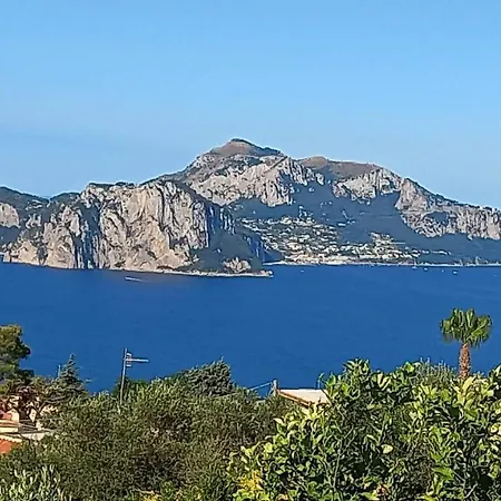 Delizia Caprese * Massa Lubrense